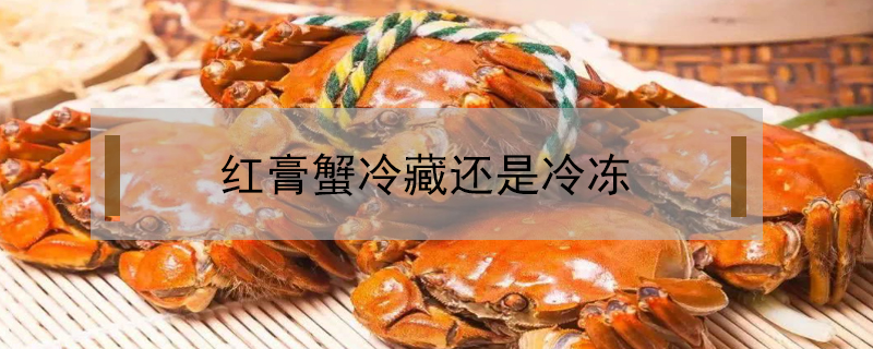 紅膏蟹冷藏還是冷凍