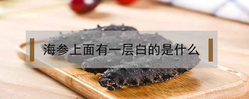 海參上面有一層白的是什么