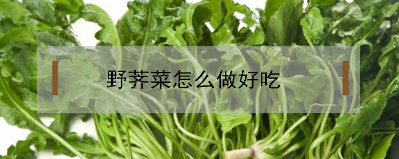 野薺菜怎么做好吃