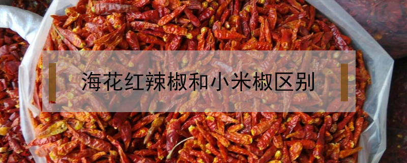 ?；t辣椒和小米椒區別