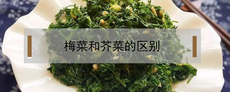 梅菜和芥菜的區別