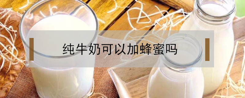 純牛奶可以加蜂蜜嗎