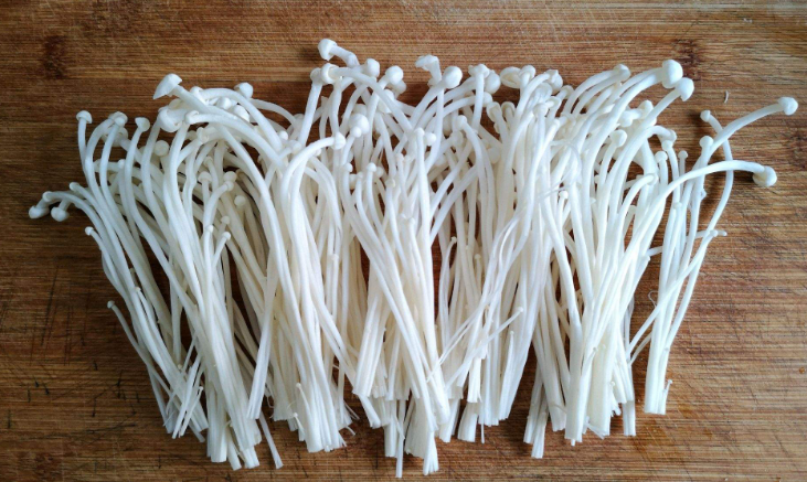 金針菇根怎么再生