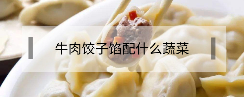 牛肉餃子餡配什么蔬菜