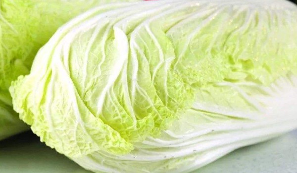 五號(hào)菜和大白菜區(qū)別