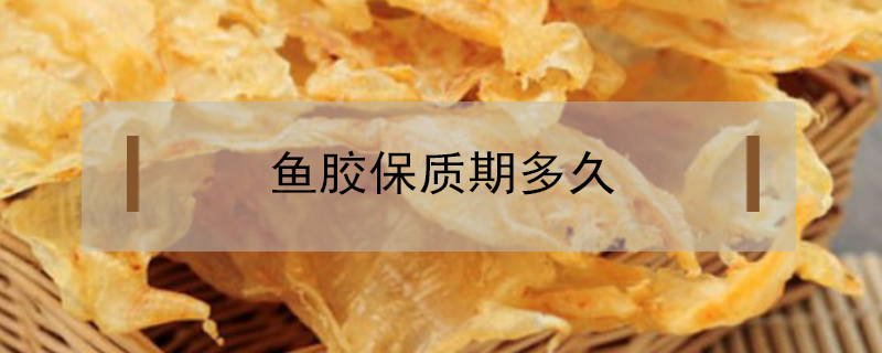 魚膠保質期多久