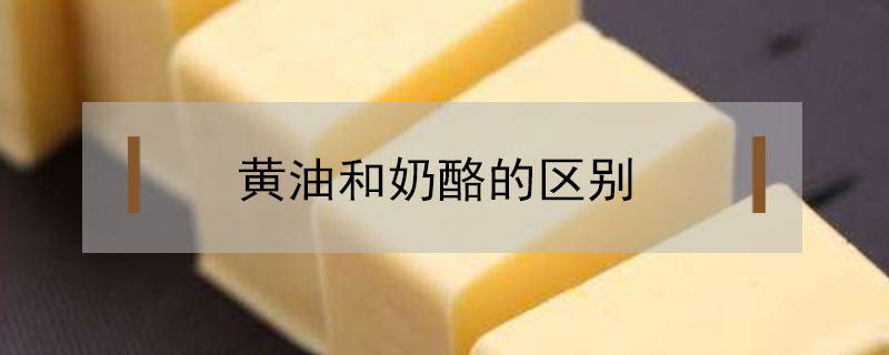 黃油和奶酪的區別