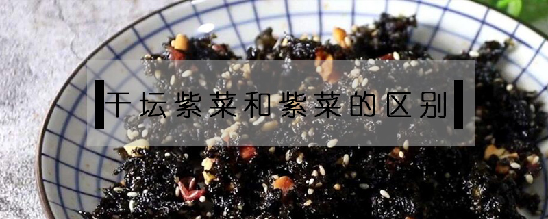 干壇紫菜和紫菜的區別