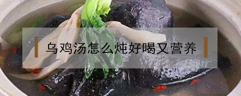 烏雞湯怎么燉好喝又營養(yǎng)