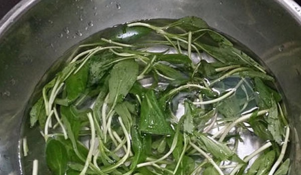 馬蘭頭怎么涼拌才好吃