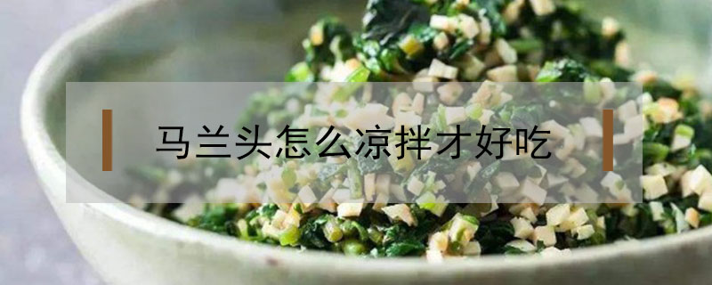 馬蘭頭怎么涼拌才好吃