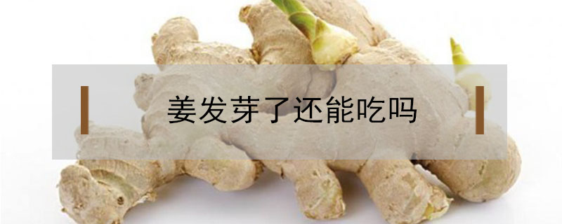 姜發芽了還能吃嗎