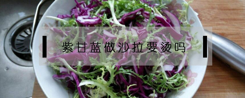 紫甘藍做沙拉要燙嗎