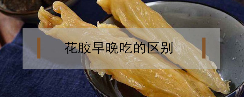 花膠早晚吃的區別