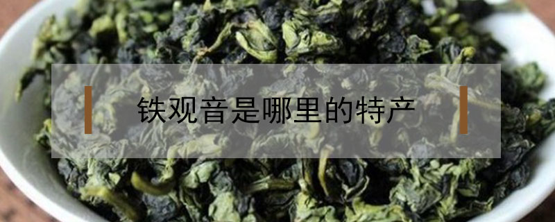 鐵觀音是哪里的特產(chǎn)