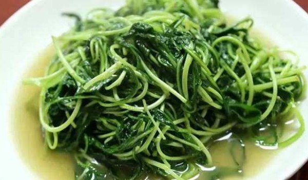 新鮮馬蘭頭怎么吃