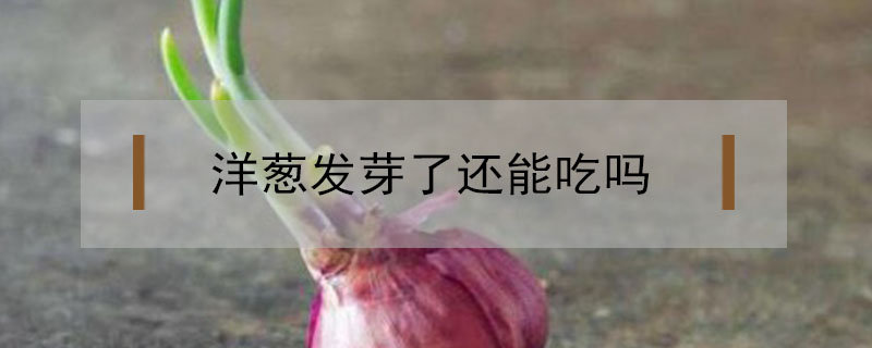 洋蔥發(fā)芽了還能吃嗎
