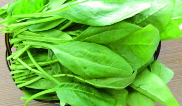 菠菜為什么會澀嘴