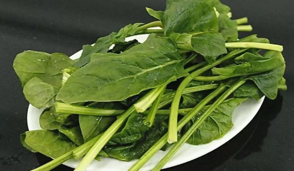 菠菜為什么會苦