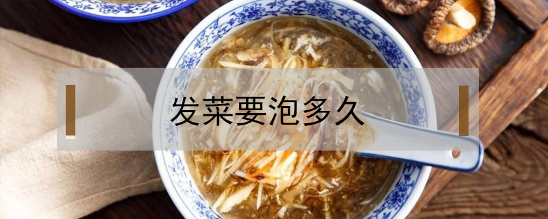 發菜要泡多久