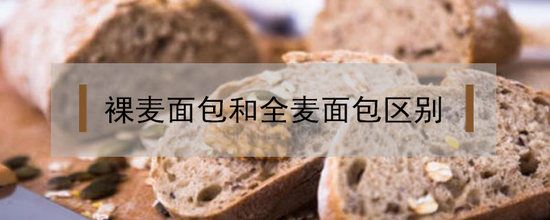 裸麥面包和全麥面包區別