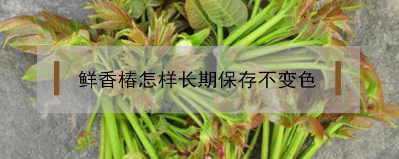 鮮香椿怎樣長(zhǎng)期保存不變色