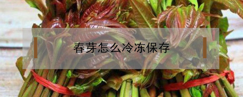 春芽怎么冷凍保存