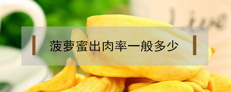 菠蘿蜜出肉率一般多少