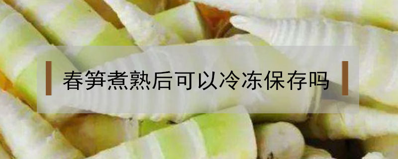 春筍煮熟后可以冷凍保存嗎