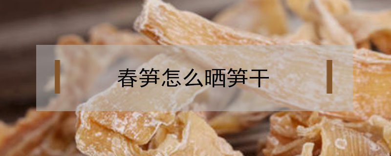 春筍怎么曬筍干