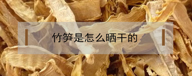 竹筍是怎么曬干的