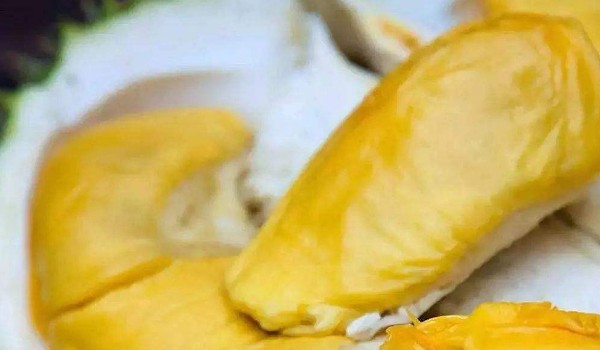 已經(jīng)拿出來的榴蓮肉沒熟怎么辦