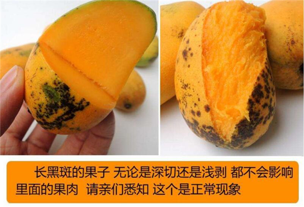 芒果怎么催熟的快，芒果怎么催熟又不爛方法