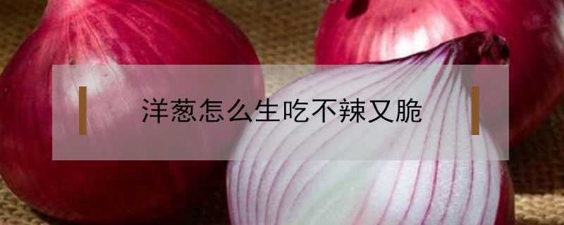 洋蔥怎么生吃不辣又脆