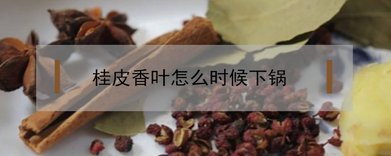 桂皮香葉怎么時(shí)候下鍋