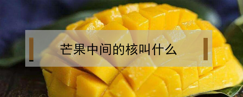芒果中間的核叫什么