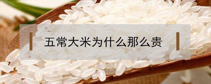 五常大米為什么那么貴