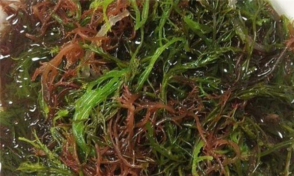 涼拌海草需要煮熟嗎