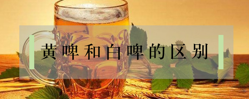 黃啤和白啤的區別