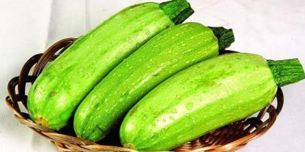 西葫蘆與筍瓜的區(qū)別