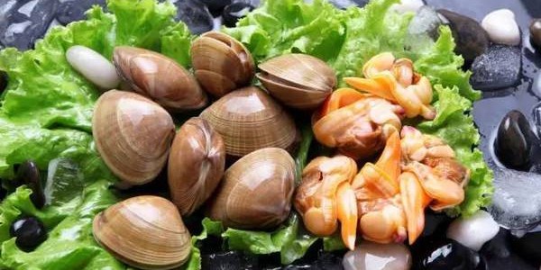 煮蜆子是冷水下鍋嗎