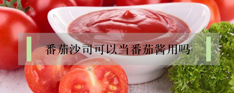 番茄沙司可以當番茄醬用嗎
