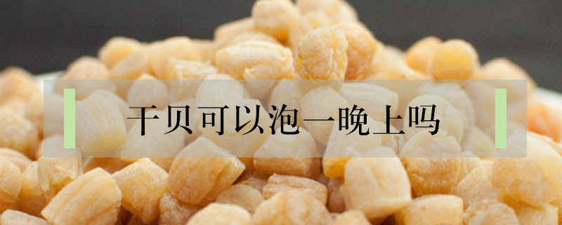 干貝可以泡一晚上嗎