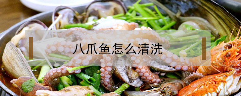 八爪魚怎么清洗