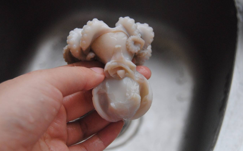 八爪魚怎么清洗