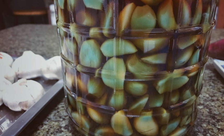 腌蒜頭是什么蒜