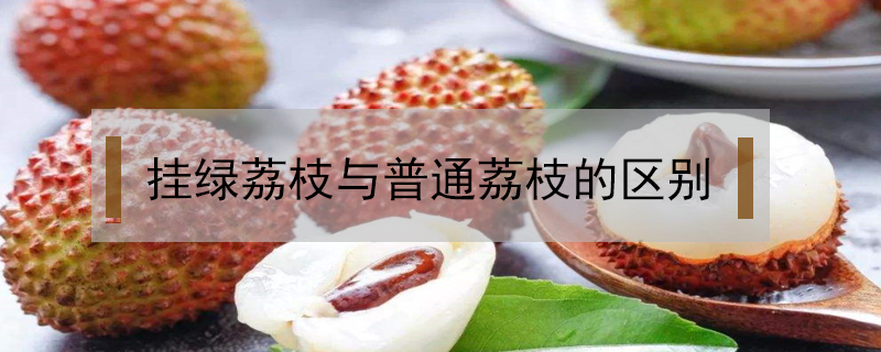 掛綠荔枝與普通荔枝的區別