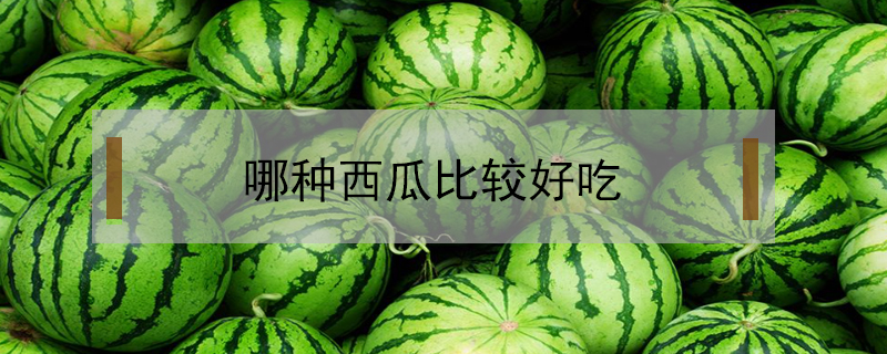 哪種西瓜比較好吃