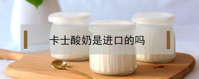 卡士酸奶是進口的嗎