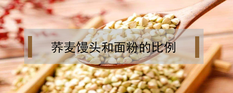 蕎麥饅頭和面粉的比例